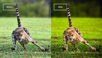 5 image retouching