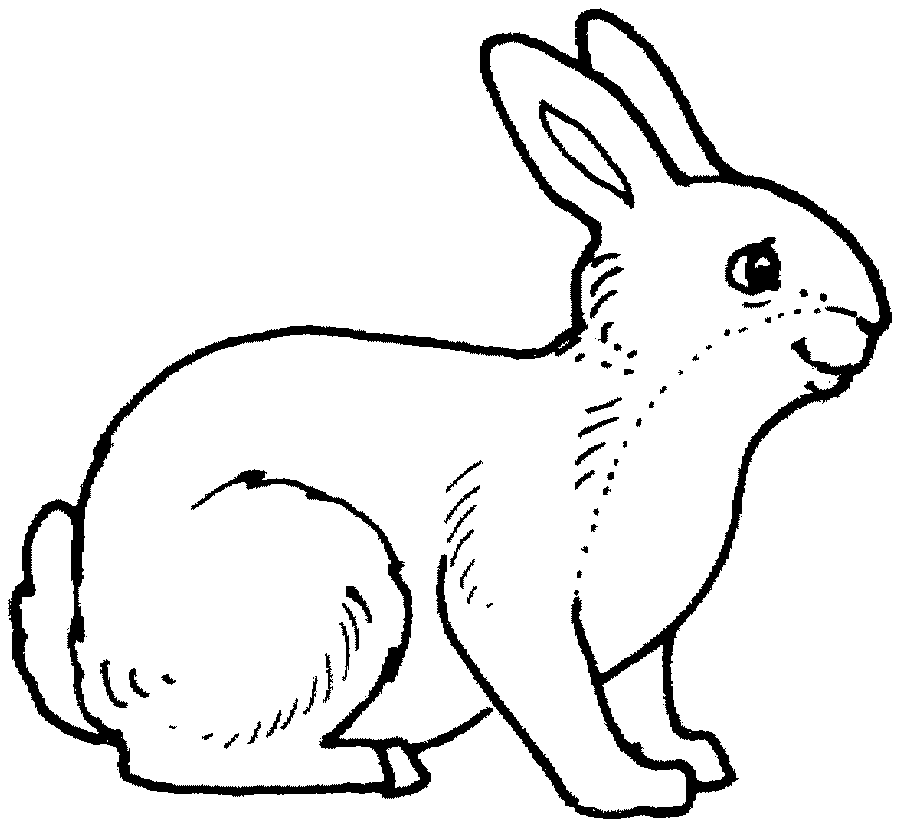 Free Printable Rabbit Coloring Pages For Kids