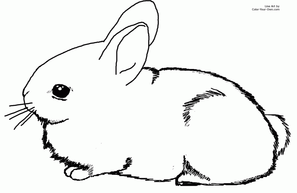 Bunny Rabbit Coloring Pages - Free Coloring Pages For KidsFree 