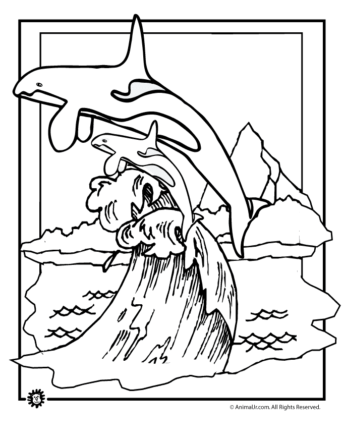 Search Results » Pictures Of A Whale To Colour Printable