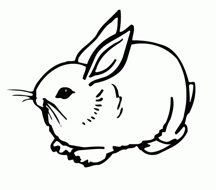 Cute Rabbit Coloring Page Is Part Of Rabbits Coloring Pages Today 