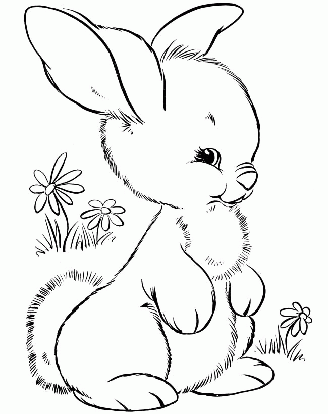 Rabbit : Rabbits Who Were Stalking Coloring Pages, Rabbit Who Was 