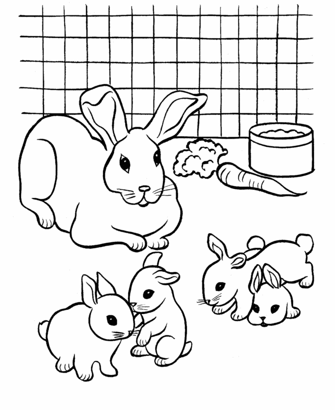 Free Printable Rabbit Coloring Pages For Kids