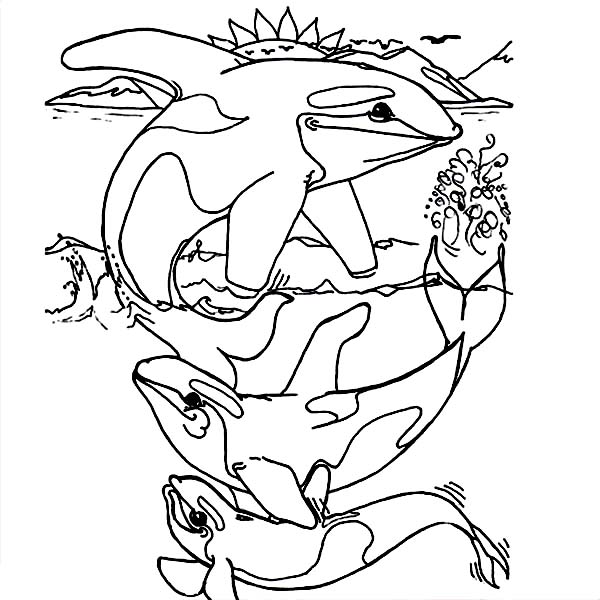 Orca Whale Coloring Page