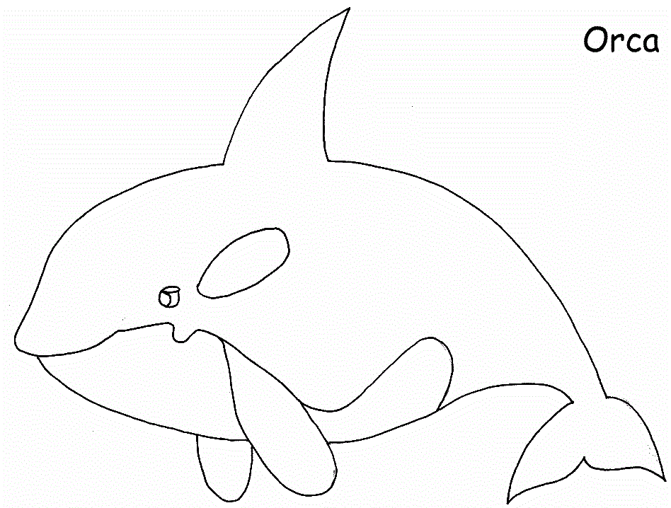 Orca Whale Coloring Pages