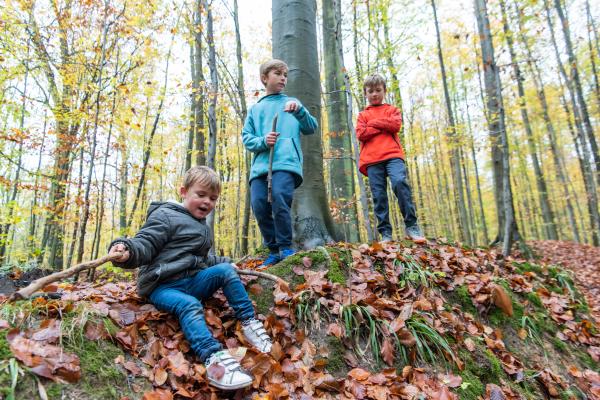 Family walk in the woods