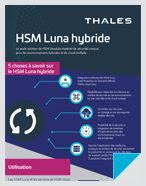 Infographie - HSM Luna hybride