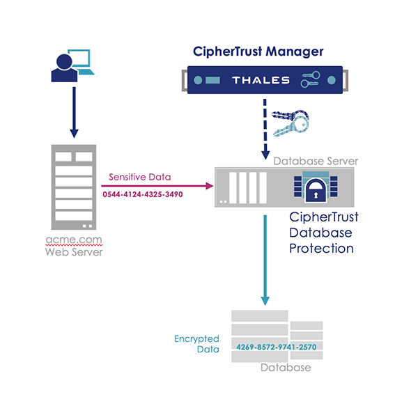 Diagramme CipherTrust Data Protection