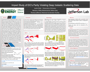 Parity Violating Deep Inelastic Scattering