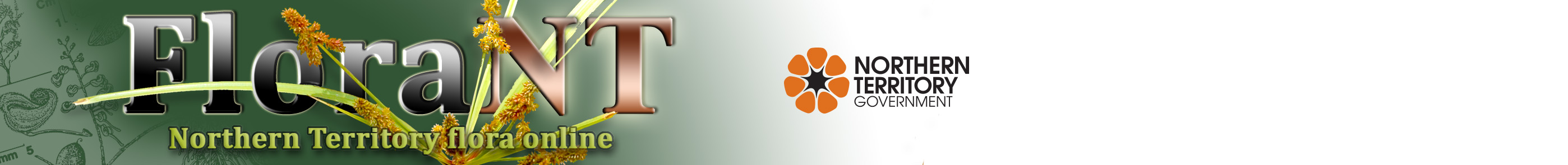 NTG logo