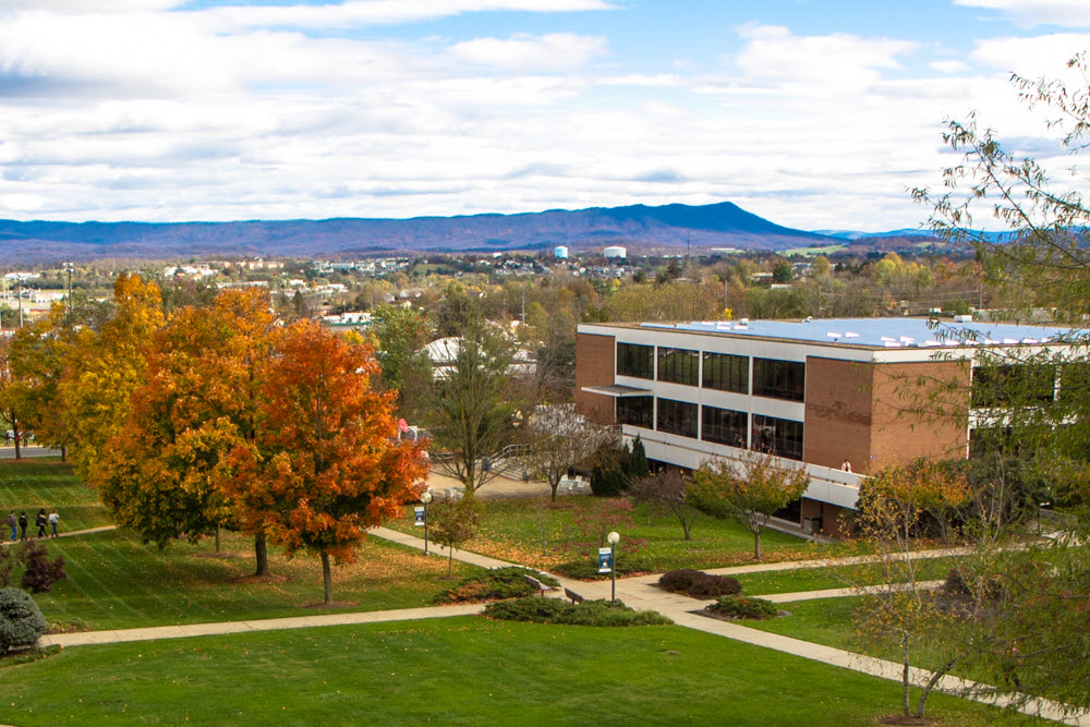 Library in the fall