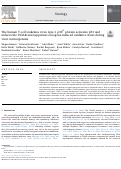 Cover page: The human T-cell leukemia virus type-1 p30II protein activates p53 and induces the TIGAR and suppresses oncogene-induced oxidative stress during viral carcinogenesis