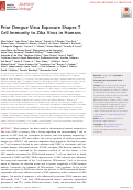 Cover page: Prior Dengue Virus Exposure Shapes T Cell Immunity to Zika Virus in Humans