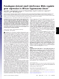 Cover page: Pseudogene-derived small interference RNAs regulate gene expression in African Trypanosoma brucei