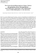 Cover page: The Aorta-Gonad-Mesonephros Organ Culture Recapitulates 5hmC Reorganization and Replication-Dependent and Independent Loss of DNA Methylation in the Germline