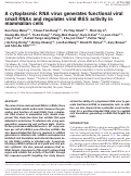 Cover page: A cytoplasmic RNA virus generates functional viral small RNAs and regulates viral IRES activity in mammalian cells