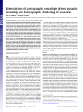 Cover page: Dimerization of postsynaptic neuroligin drives synaptic assembly via transsynaptic clustering of neurexin.