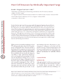 Cover page: Host cell invasion by medically important fungi.