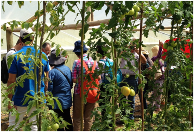 Study visit to examine Brazilian alternative livelihoods