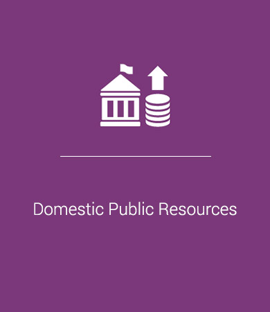 Domestic Public Resources