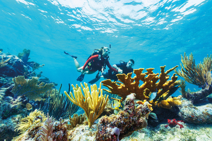 A couple scuba diving in Key Largo