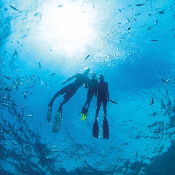 A family scuba diving in Key Largo