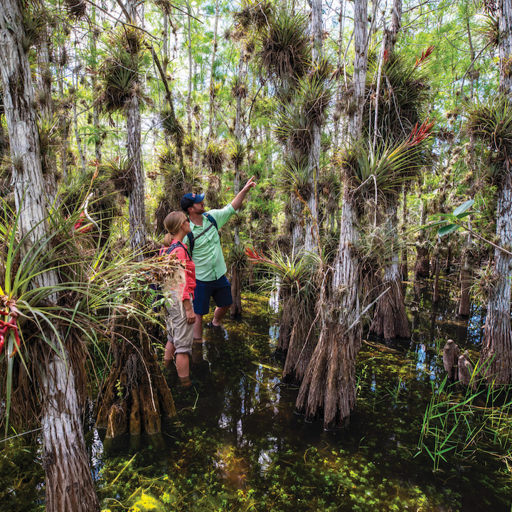 A couple hiking in Key Largo