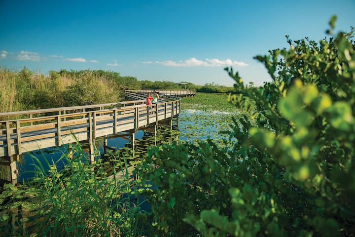 A couple birding in Key Largo