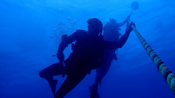 Looking up to the water's surface, a pair of divers hold a line that extends to a buoy above