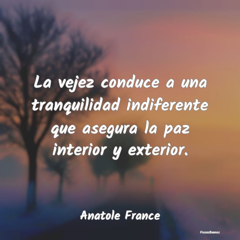 Frases de Tranquilidad - La vejez conduce a una tranquilidad indiferente qu...