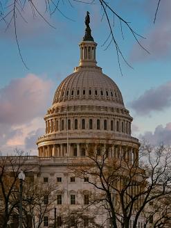 United States Capitol Building. Washington, DC. Editorial credit: Darryl Brooks / Shutterstock.comL: 