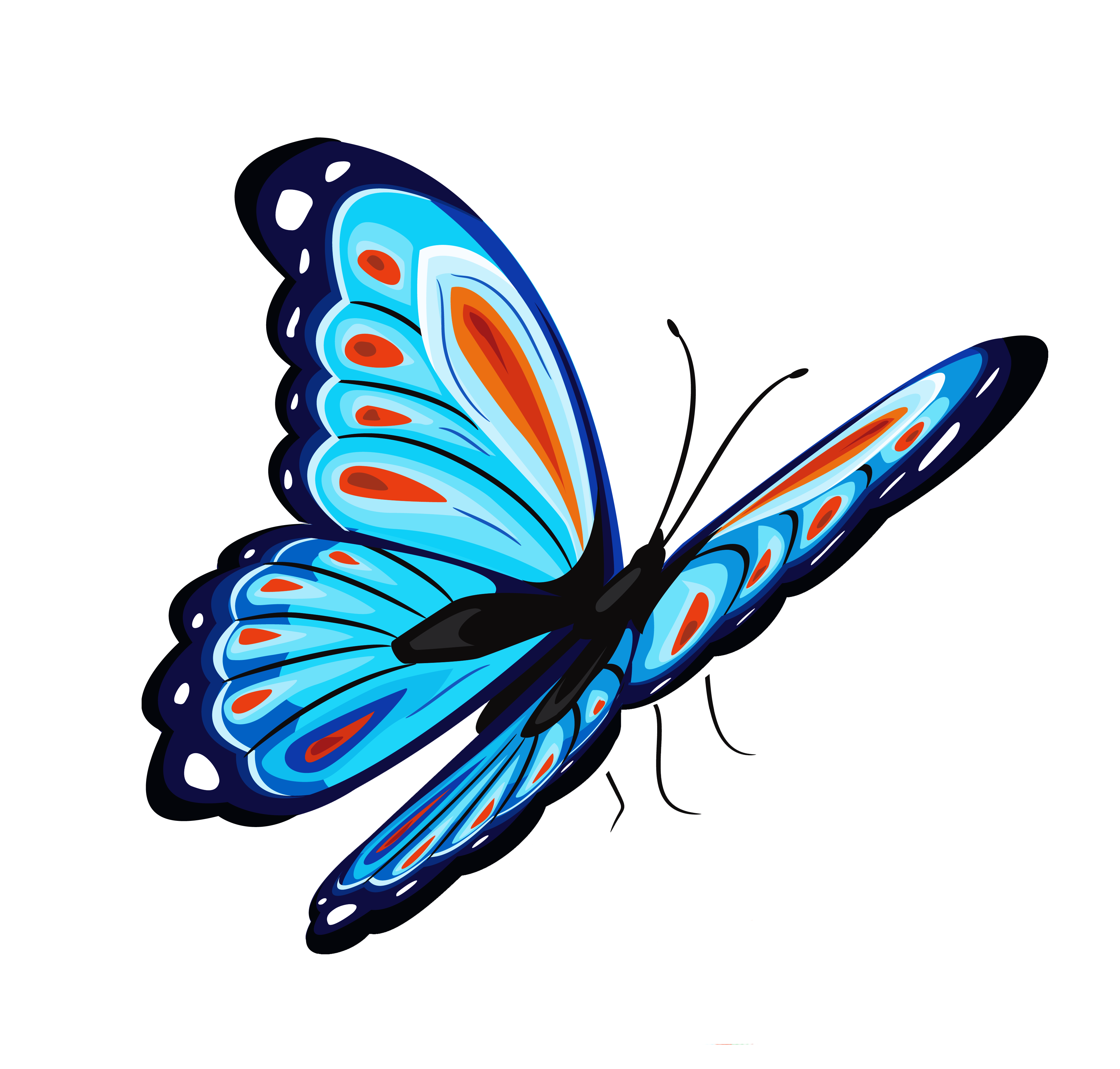 Blue Butterfly Transparent PNG Image