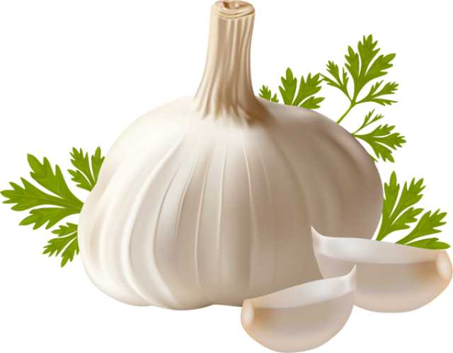 Garlic Png Transparent PNG Image