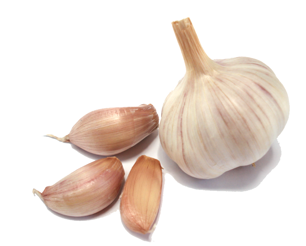 Garlic Png Clipart Transparent PNG Image