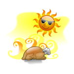 Turkey baked on sun vector image