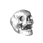 Yawning skull image