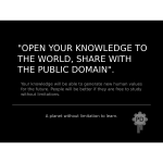 The Public Domain