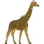 Giraffe image