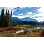 Surreal lake view vector image