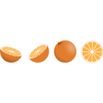 Vector image of selection of orange pieces