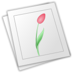 Vector image of flower drawn on white paper