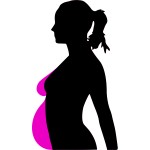 pregnancy silhouet