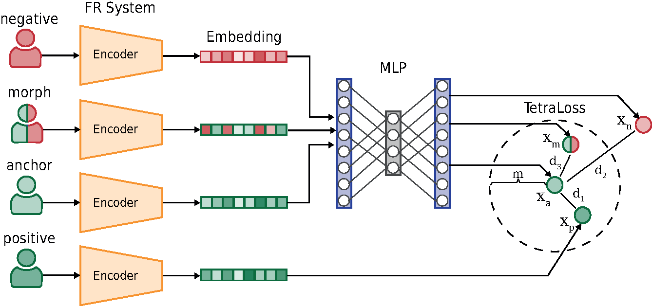 TetraLoss Overview