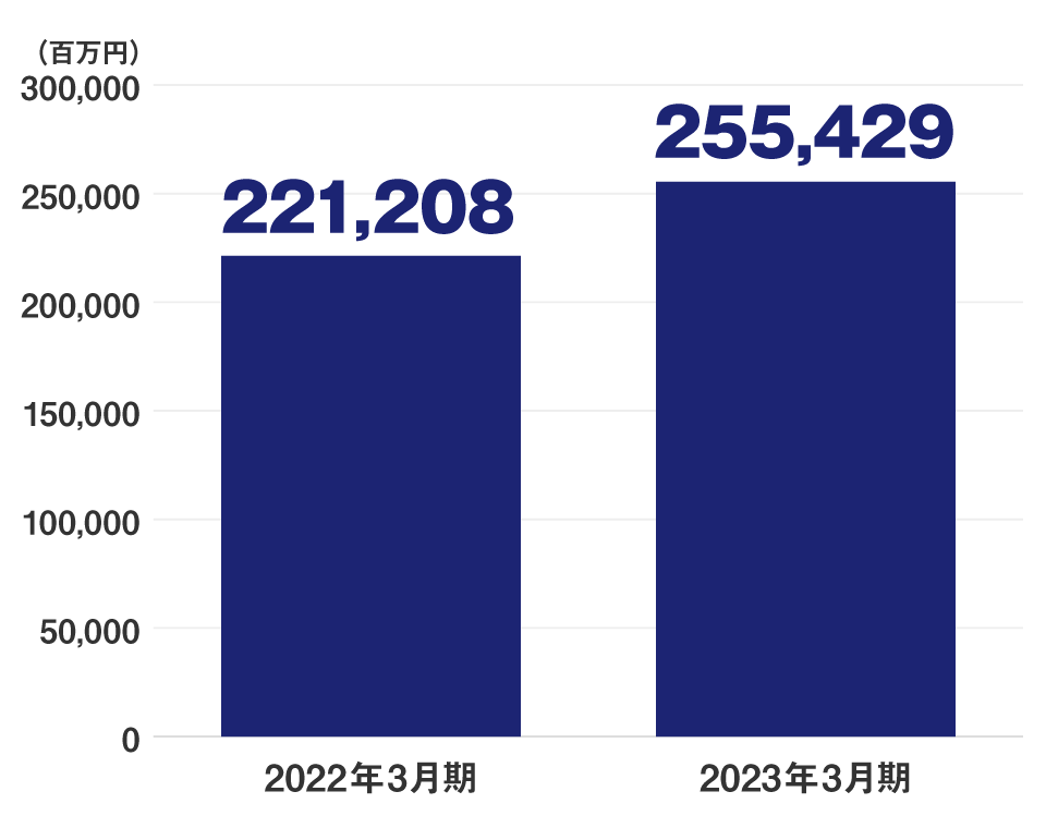 売上高（百万円）グラフ