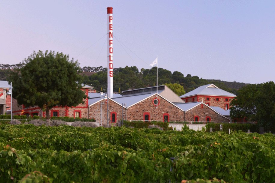 Magill Estate at Penfolds