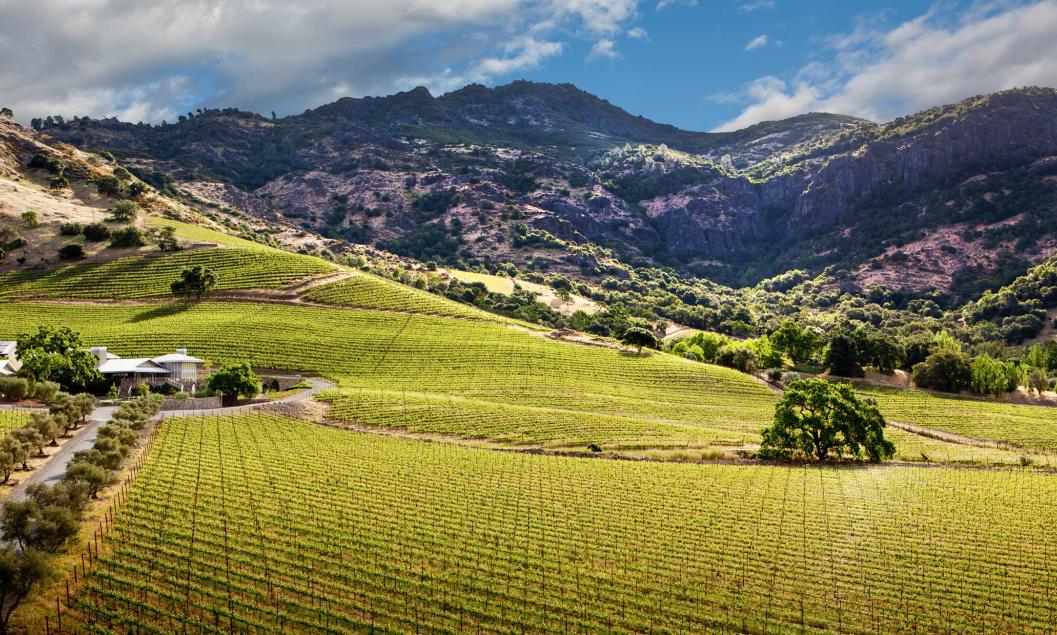 The rolling hills at Shafer Vineyards