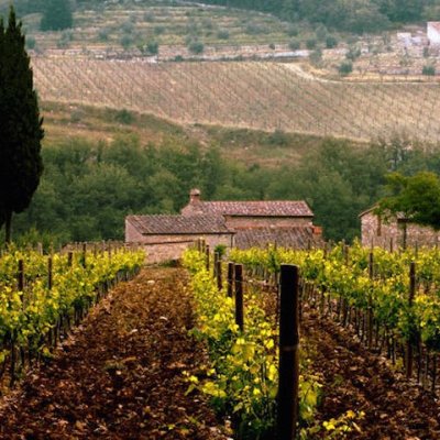 While technically a wine rather than a winery, Tenuta San Guido’s flagship red wine, Sassicaia, has become a Tuscan icon in its own right