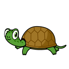 Tortuga Verde