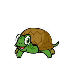 Tortuga Verde Sonriente