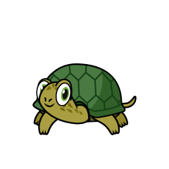 Tortuga Frontal